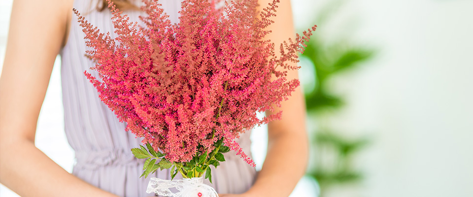 Amazing Astilbe Wedding