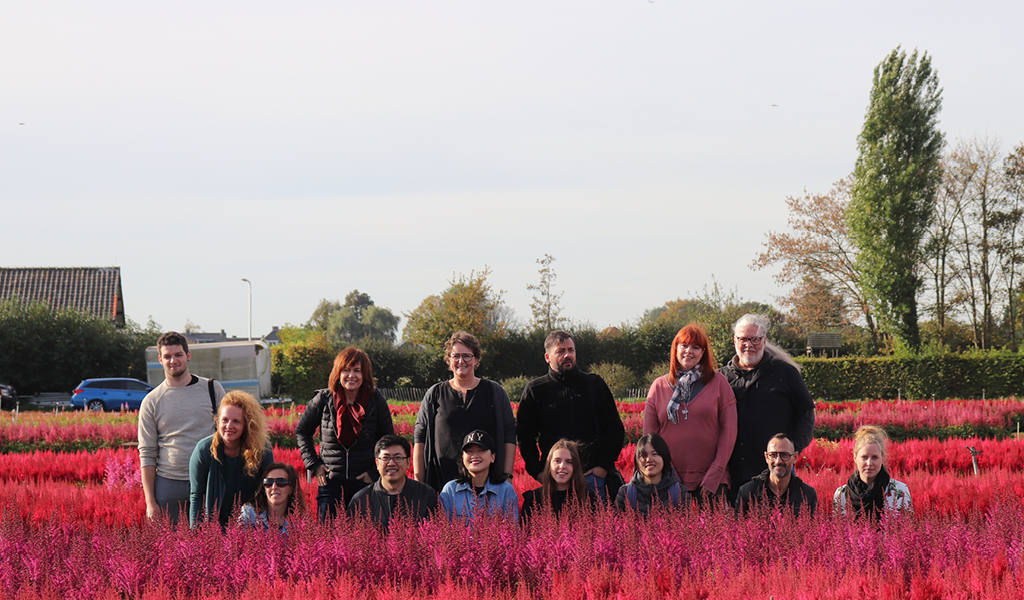 2018663 amazing astilbe veld groepsfoto