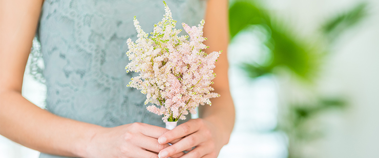 Amazing Astilbe - Europa
