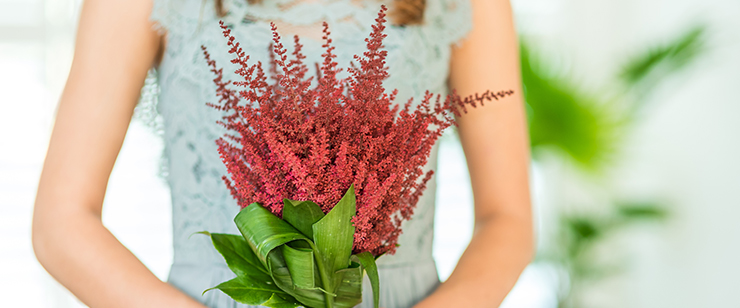Amazing Astilbe - Paul Gaarder